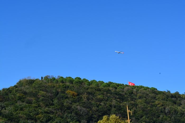 Perhaps killed those you love