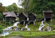 The Stone Mole Along the Shore