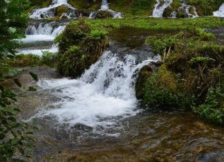 The Authority of the Patriarch’s Later Testimony